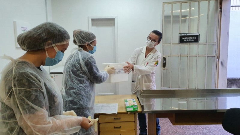 Duas profissionais de saúde seguram uma caixa de isopor com os testes enquanto outra veste uma luva cirúrgica. 